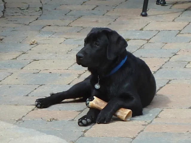 Blog Post Procrastination and Solution